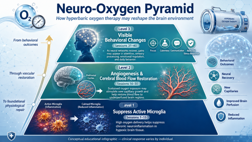  Insert an original infographic titled "Neuro-Oxygen Pyramid" here, illustrating these three levels from bottom to top.